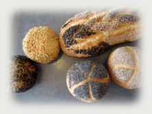 パン　ギャラリー